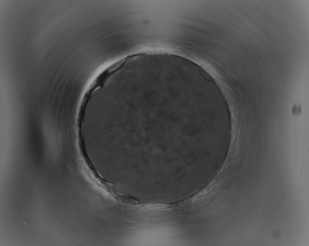 X0000090750864200708031606