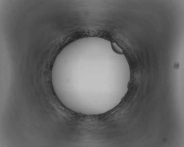 X0000090750865200708031605