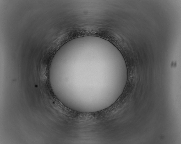 X0000090750866200708031605