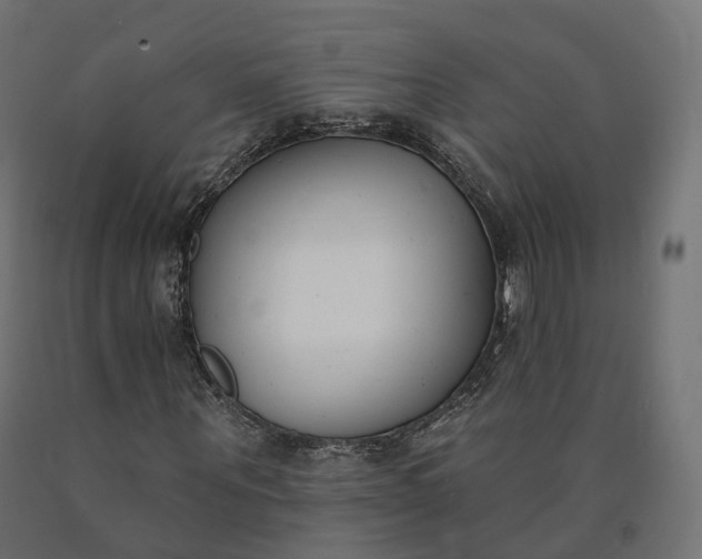 X0000090750867200708031605