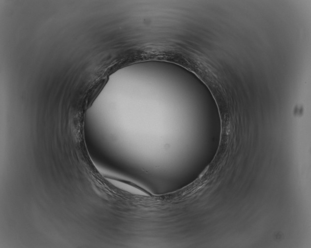 X0000090750868200708031605