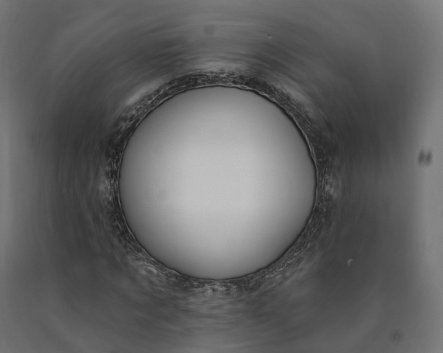 X0000090750869200708031605