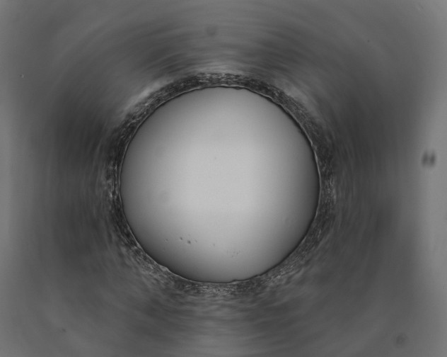 X0000090750870200708031605