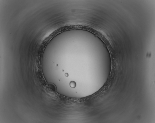 X0000090750871200708031605