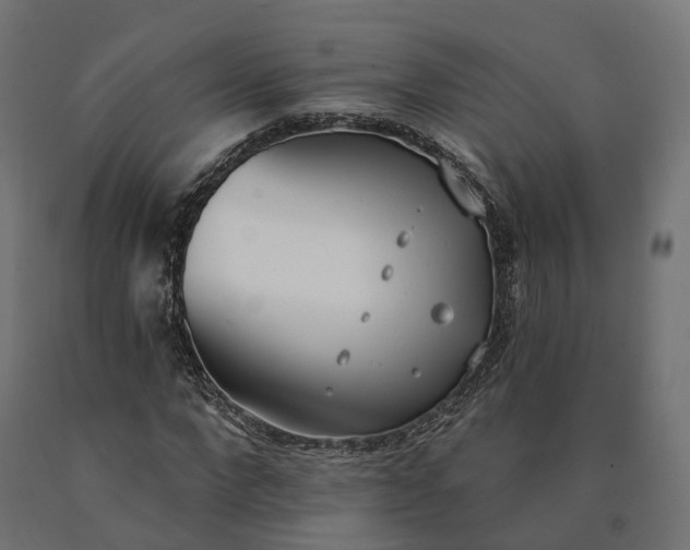 X0000090750872200708031605