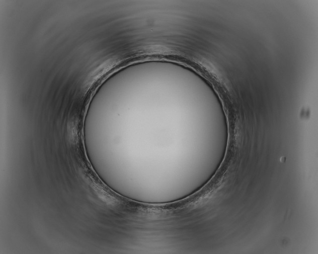 X0000090750873200708031605