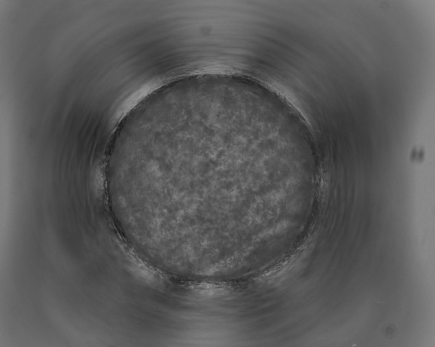 X0000090750874200708031605