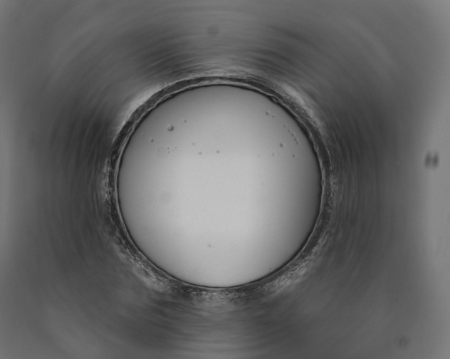 X0000090750875200708031605