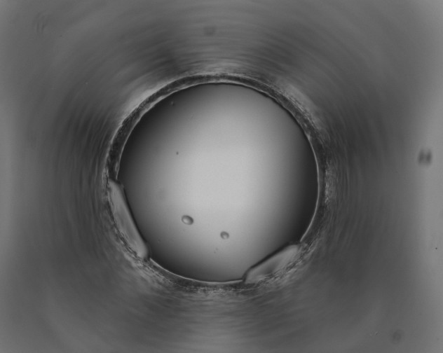 X0000090750876200708031605