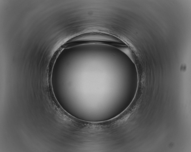 X0000090750877200708031605