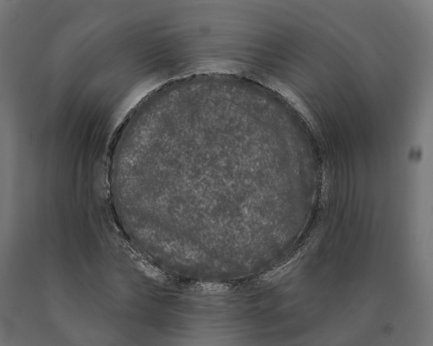 X0000090750878200708031605