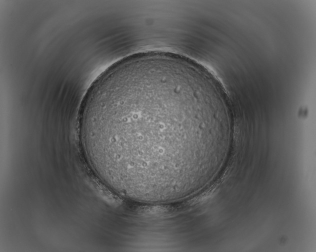 X0000090750879200708031605