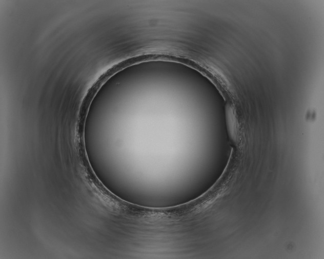 X0000090750880200708031605