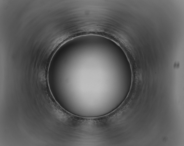 X0000090750881200708031605