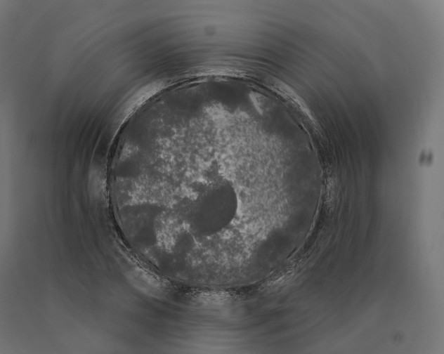 X0000090750882200708031605