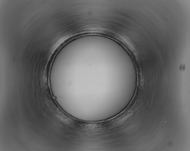 X0000090750883200708031605