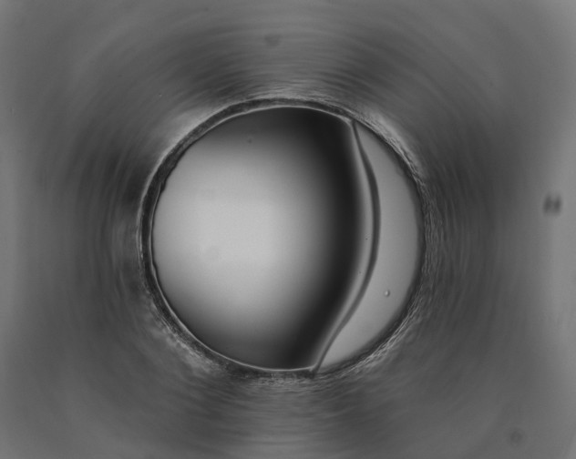 X0000090750884200708031605