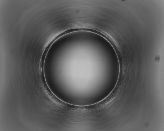 X0000090750885200708031605