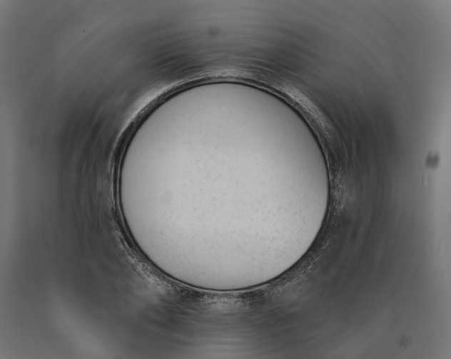 X0000090750886200708031605