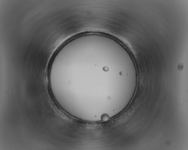 X0000090750887200708031605