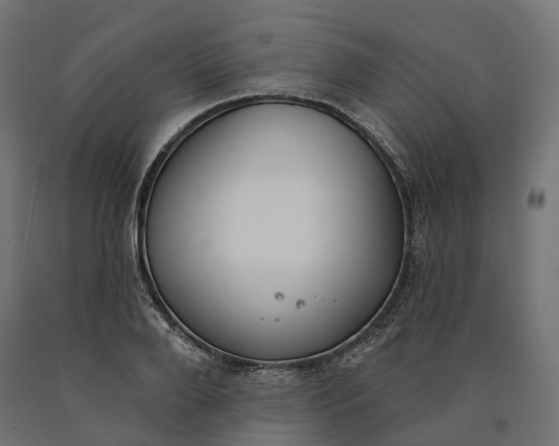 X0000090750888200708031605