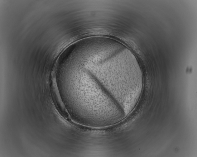 X0000090750889200708031605