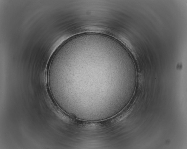 X0000090750891200708031605