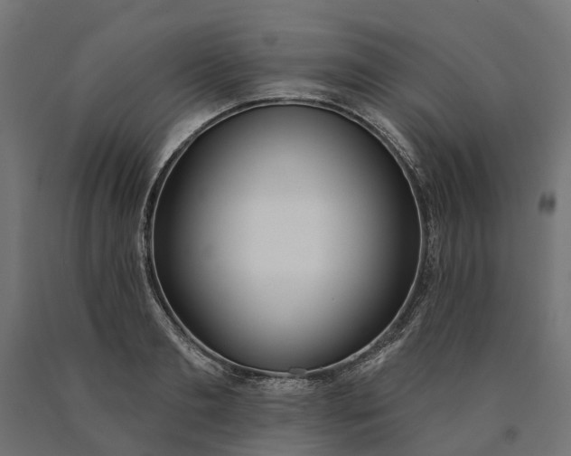 X0000090750893200708031605