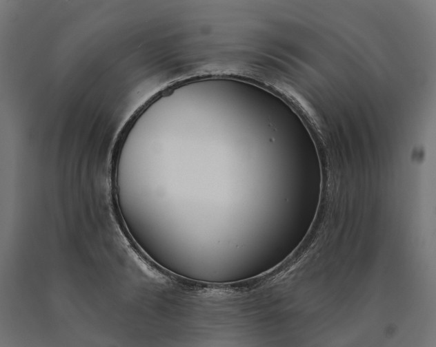 X0000090750894200708031605