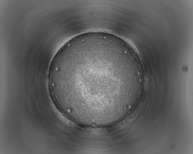 X0000090750895200708031605