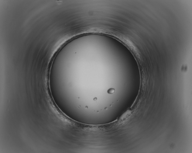 X0000090750896200708031605