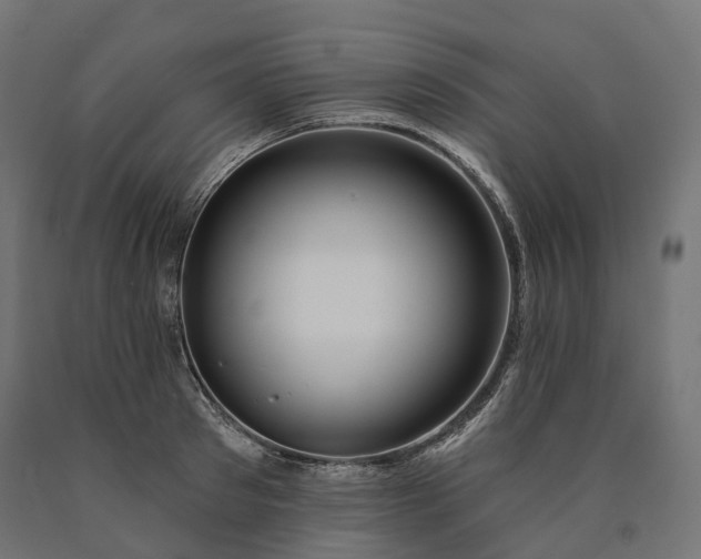 X0000090750897200708031605