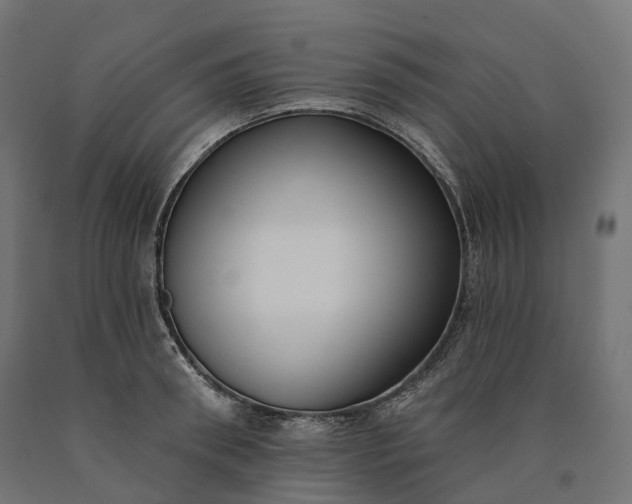 X0000090750898200708031605