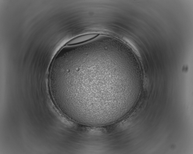 X0000090750899200708031605