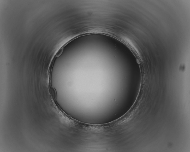 X0000090750900200708031605