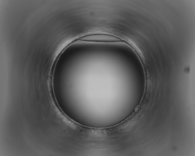 X0000090750901200708031605