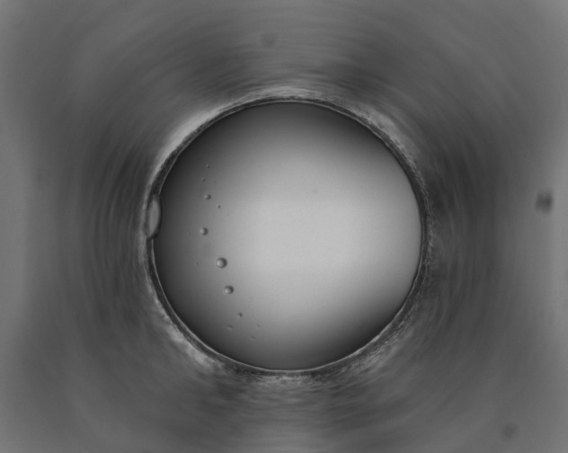 X0000090750902200708031605