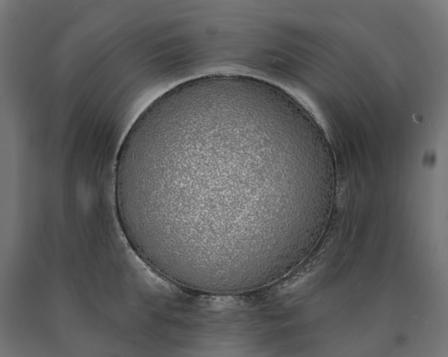 X0000090750903200708031605