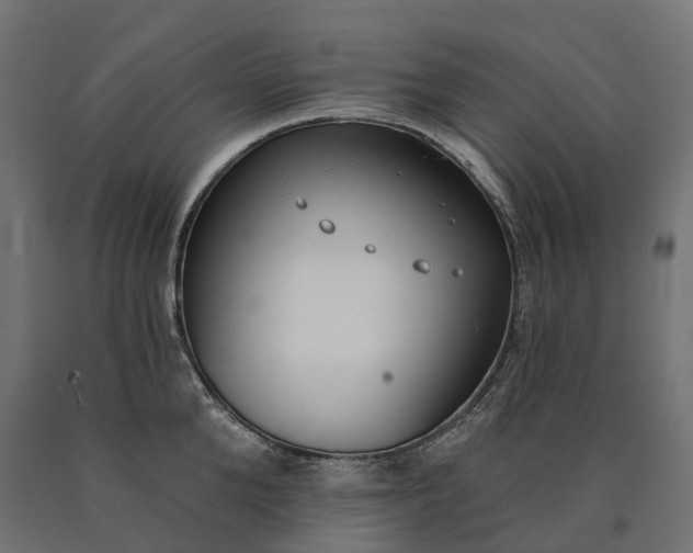 X0000090750904200708031605