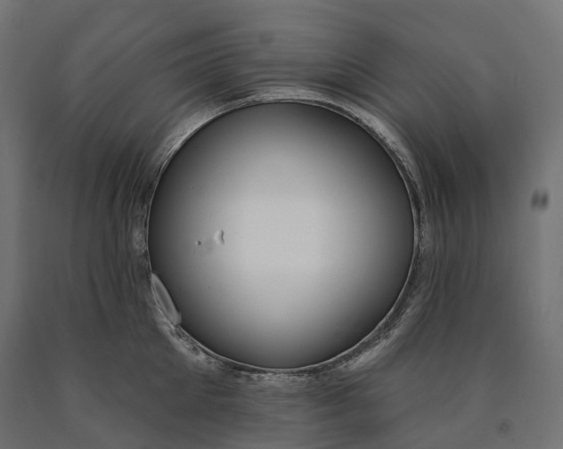 X0000090750905200708031605