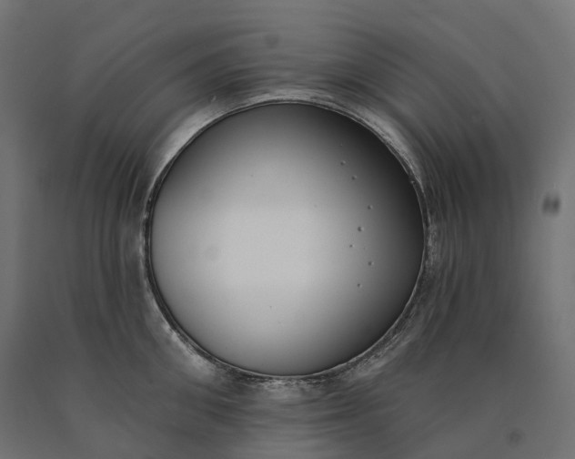 X0000090750906200708031605