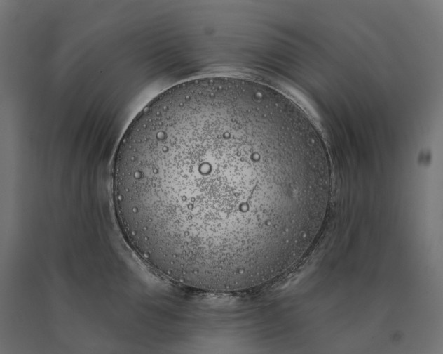 X0000090750907200708031605