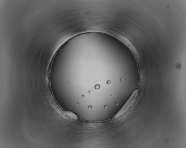 X0000090750908200708031605