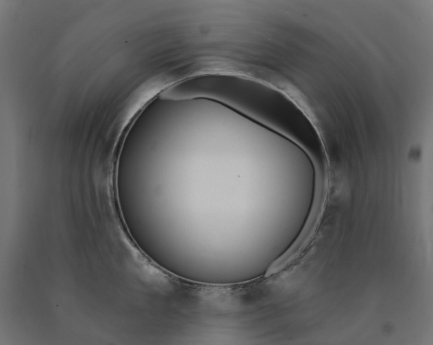 X0000090750909200708031605