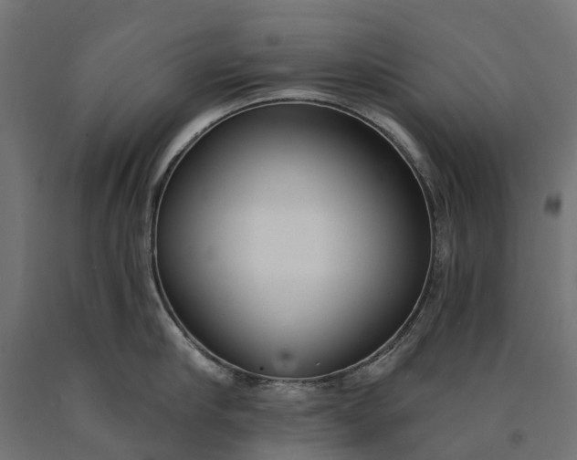 X0000090750910200708031605