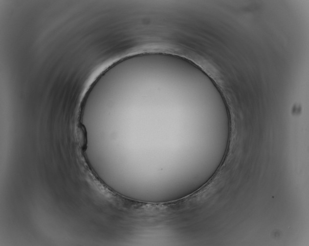 X0000090750912200708031605