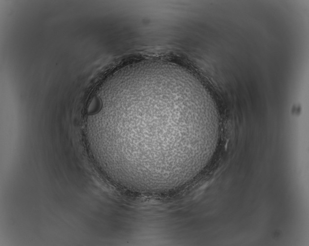 X0000090750913200708031604