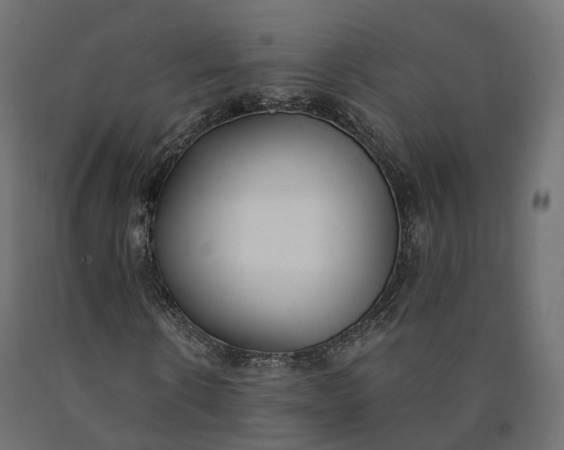 X0000090750914200708031604