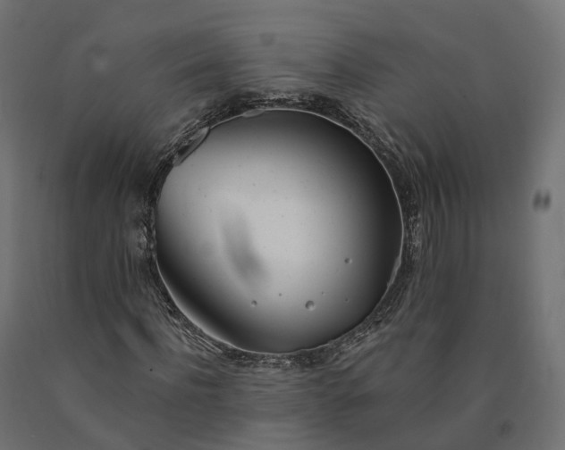 X0000090750916200708031604