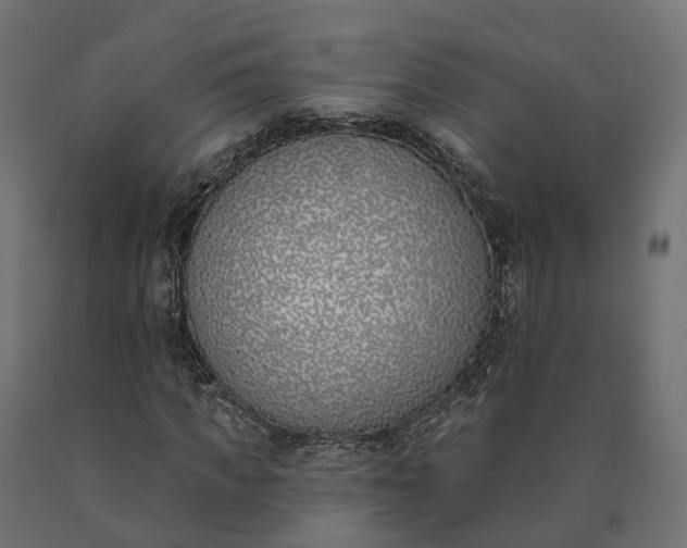 X0000090750917200708031604